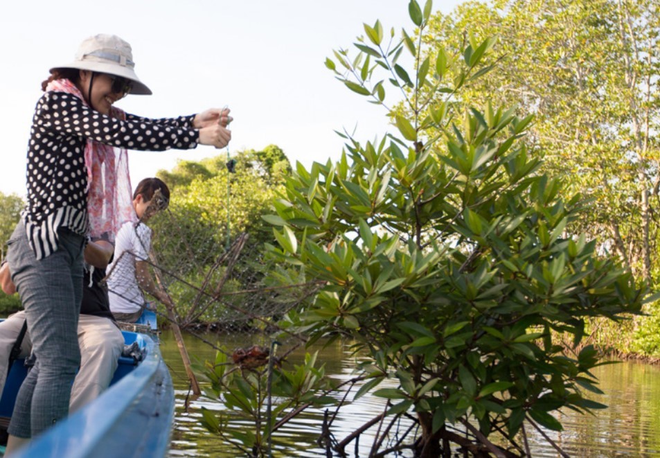 Du lịch sinh thái Đất Mũi: Bảo vệ môi trường, tăng thu nhập